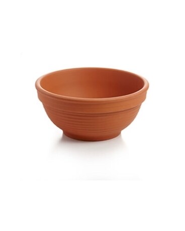 Emmie Planter $7.00 Plant