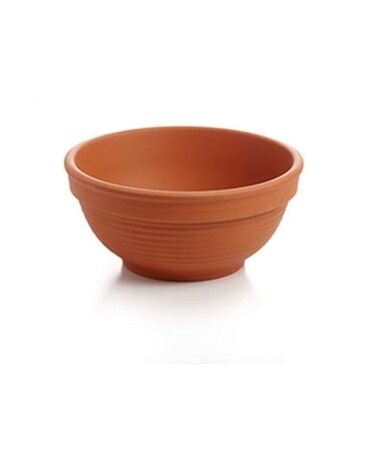 Emmie Planter $10.00 Plant