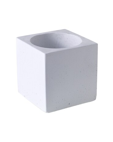 Cole Pot: White $18.00 Plant