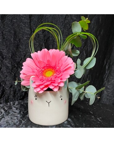 Baby Hopz Flower Arrangement