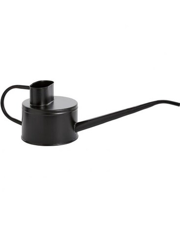 Fletch Watering Can Plant