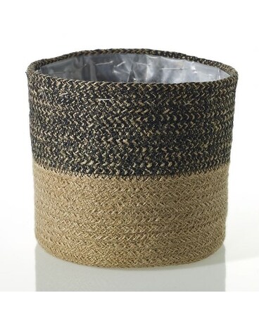 Black Jute Basket Plant