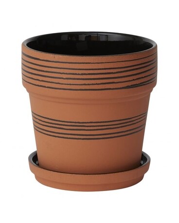 Herati Pot Plant