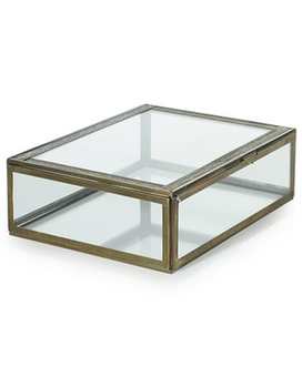 Baroque Display Box Plant