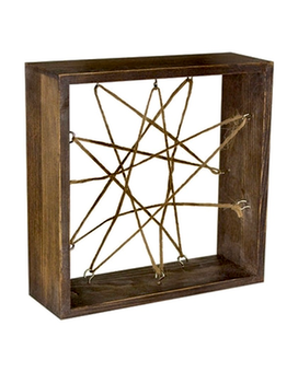 Air Plant Frame Plant