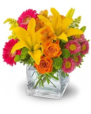 Teleflora's Summertime Splash Flower Arrangement