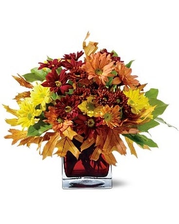 Teleflora's Mum Montage Flower Arrangement