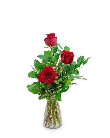 Red Roses (3) Flower Arrangement