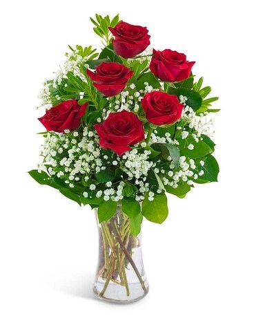 Six Red Roses with Babies Breath Flower Arrangement