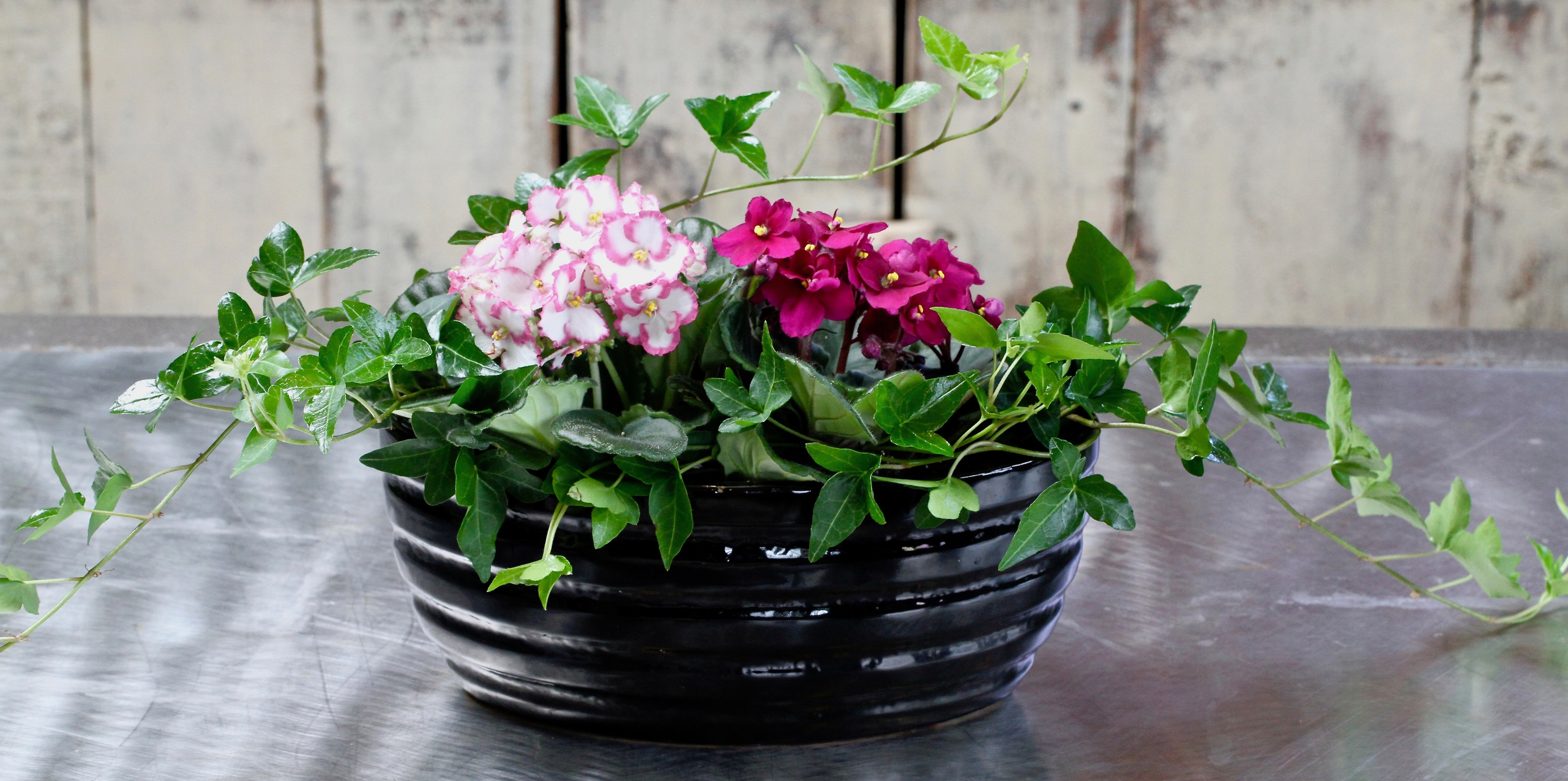 Kingston Florist Flower Delivery by Pam's Flower Garden