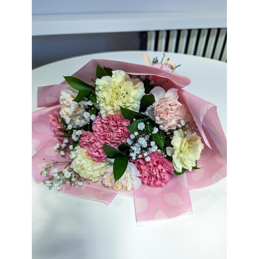 Carnations in Kingston ON - Pam's Flower Garden