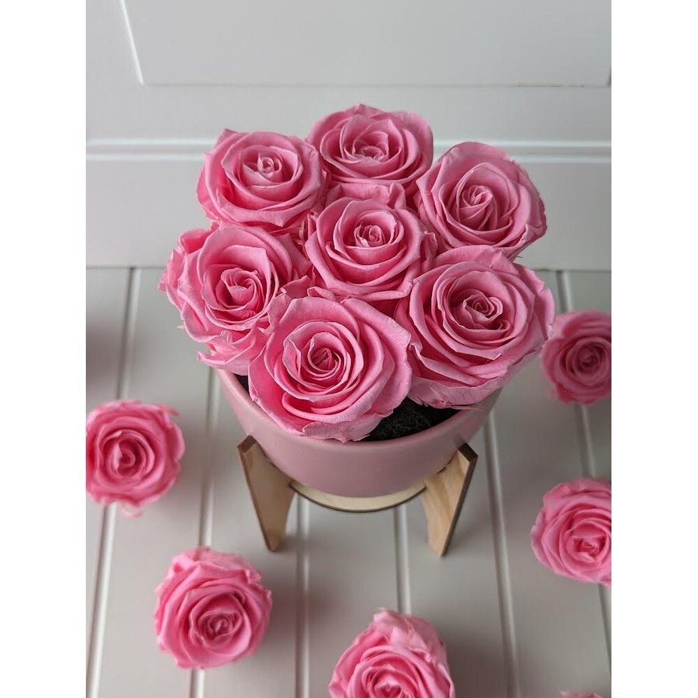 Preserved Pink Roses in Kingston ON - Pam's Flower Garden