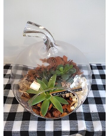 Apple Glass Terrarium Plant