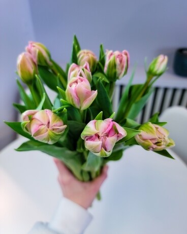 Double tulips (10 stems) Flowers