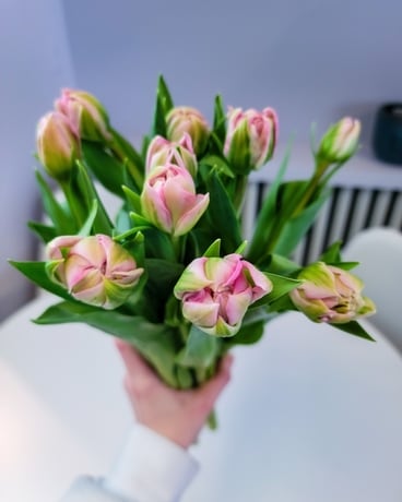 Double tulips (10 stems) Flowers