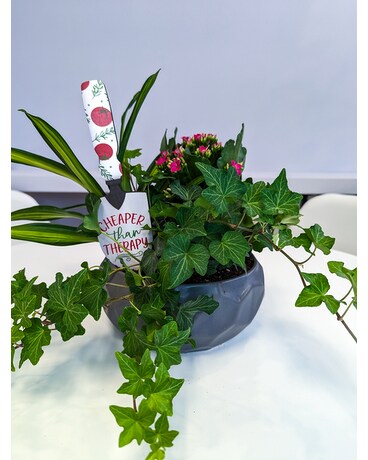 Cheaper Than Therapy Plant