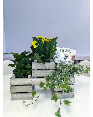 Bee Nice or Buzz Off Flower Arrangement