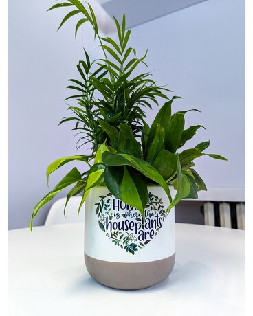 Home is the house plants are! Plant