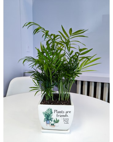 Plants are Friends Plant