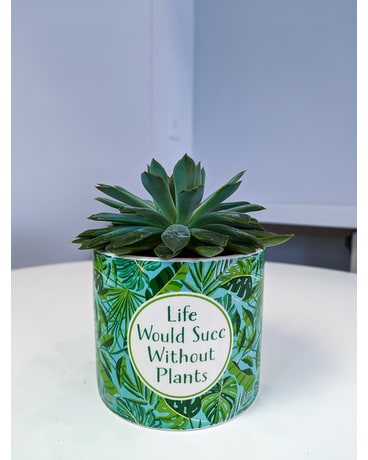 Life Would Suck Without Plants Plant