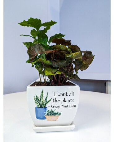 I Want All The Plants Plant