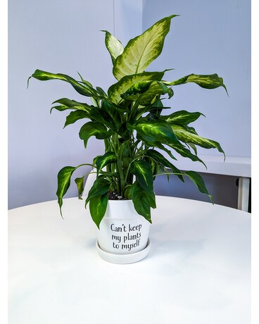 Can't Keep My Plants To Myself Plant