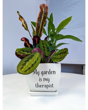 My Garden is My Therapist Plant