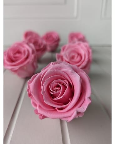 Preserved Pink Roses Custom product