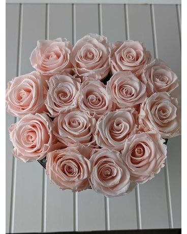 Preserved Soft Pink Roses Custom product