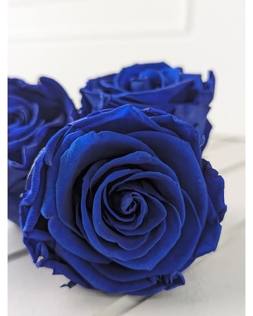 Preserved Blue Roses by Kiara Custom product