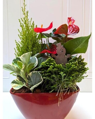 Large Christmas Garden with Cypress Dish Garden Plant