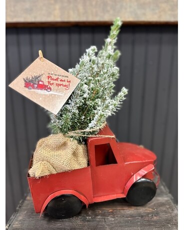 Christmas Pick up Truck Plant