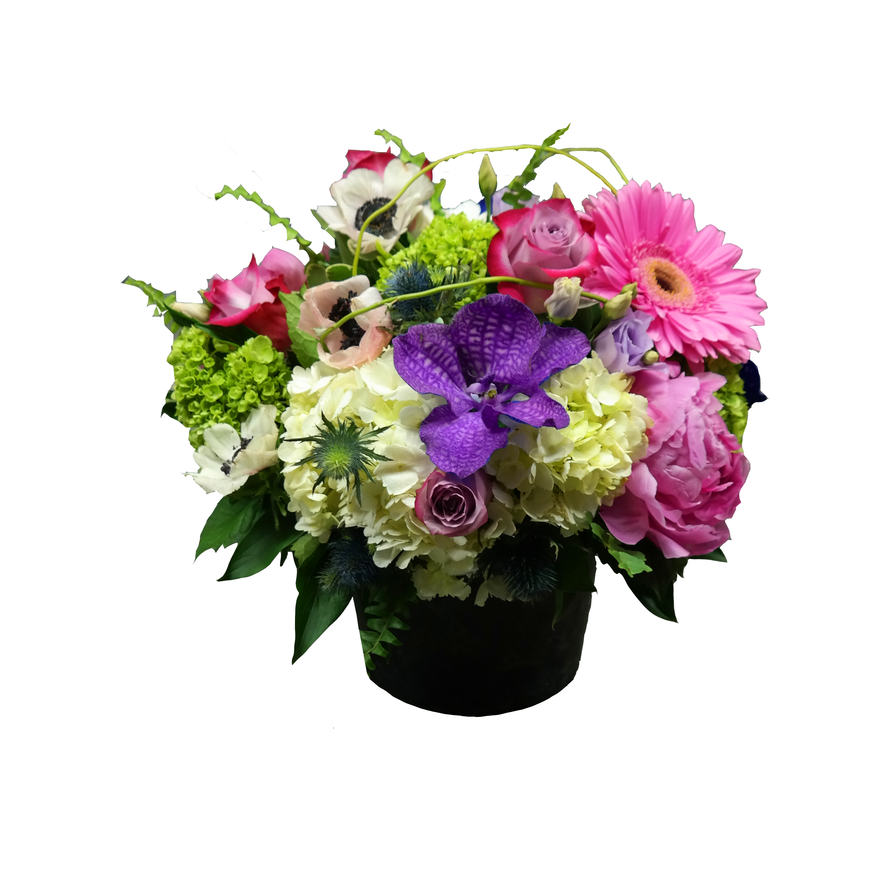 Paradise Garden In Somerset Nj Flower Station