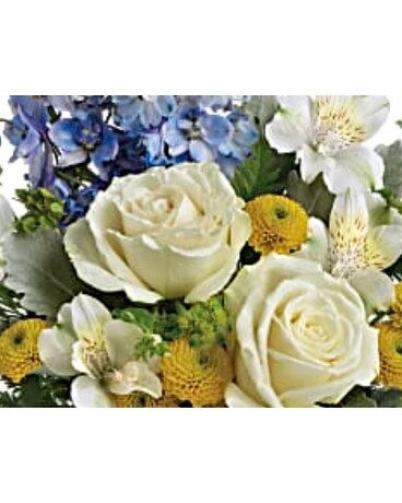 DEAL OF THE DAY - BABY BOY Flower Arrangement