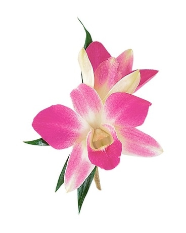 Dendrobium Orchid Boutonniere Boutonniere