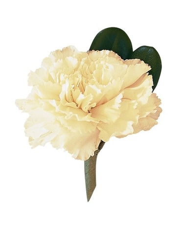 Carnation Boutonniere Boutonniere