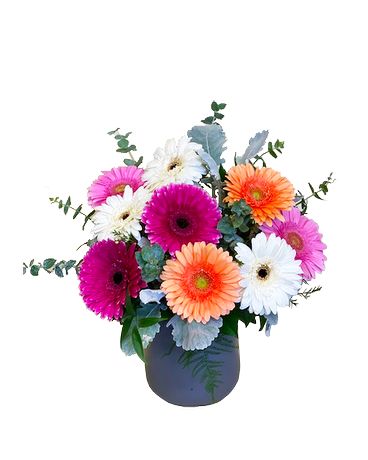 Gerbera Celebration! Flower Arrangement