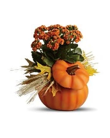 Teleflora's Harvest Pumpkin Flower Arrangement