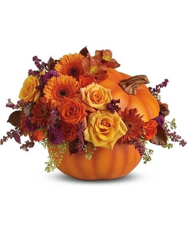 Blooming Pumpkin Flower Arrangement