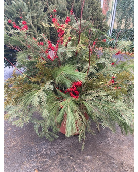 Winter Green Planters