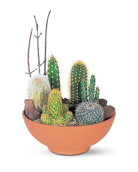 Standard size,  inches height and  inches wide.