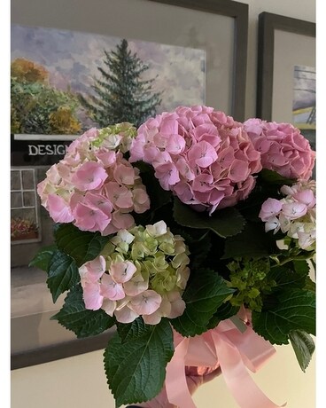 Pink size,  inches height and  inches wide.