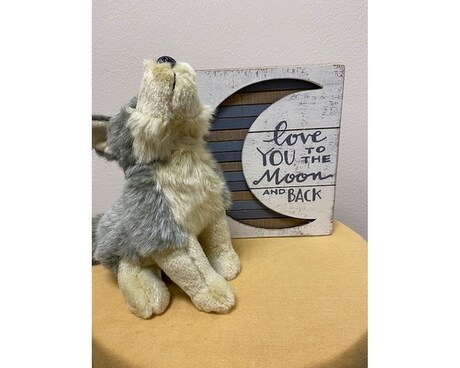 Love you to the moon gift set Gifts