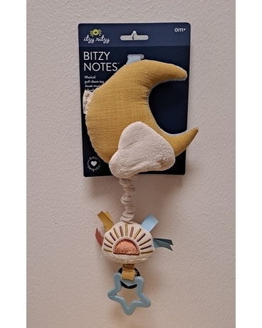 Bitzy Notes Musical Pull Down Toy Gifts