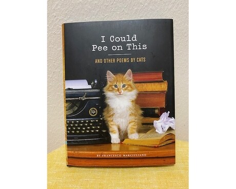 I Could Pee On This Book Gifts