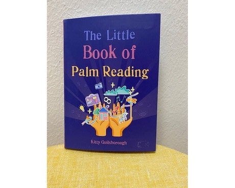 The Little Book Of Palm Reading Gifts