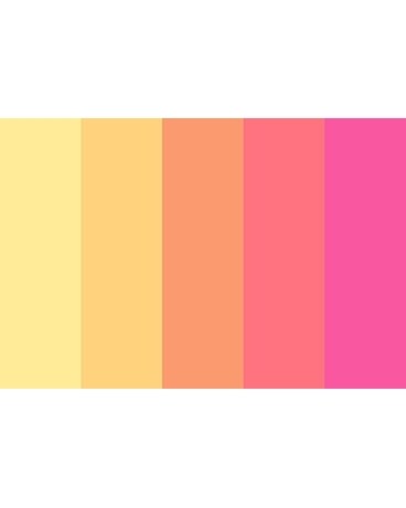 Designer's Choice Vibrant Color Pallete Plant