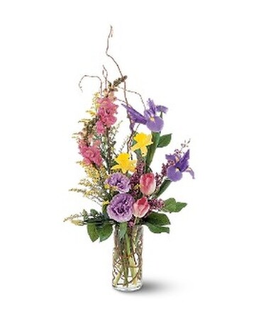 Shop By Flowers Delivery New Iberia La A Gallery Of Flowers