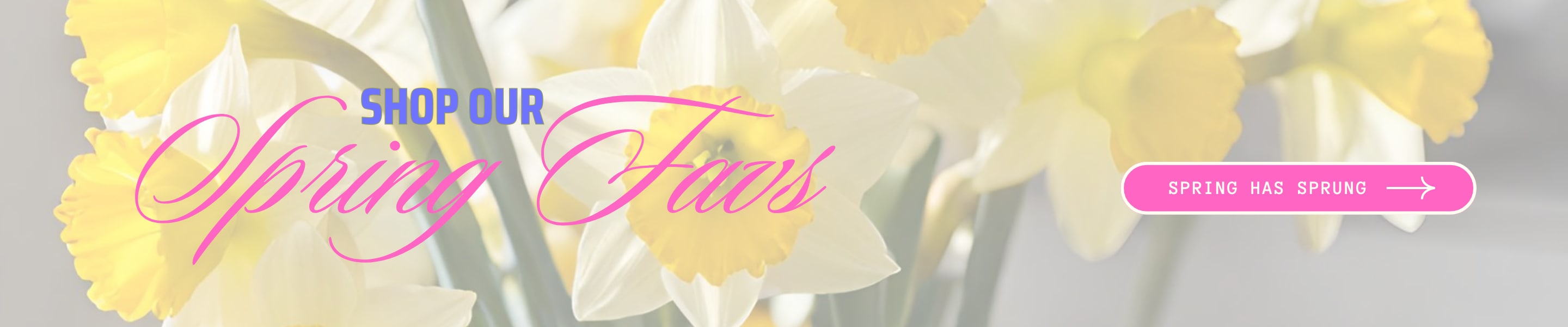 Greensboro Florist Flower Delivery by Botanica Flowers and Gifts