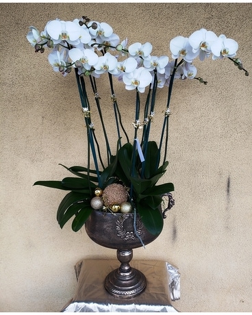 Large Orchid Planter Flower Arrangement